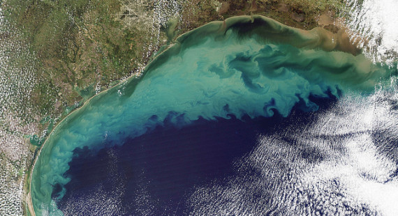 Gulf Of Mexico Water Temperature Current Water Temp In Gulf Of Mexico   Gulfofmexico 570x310 